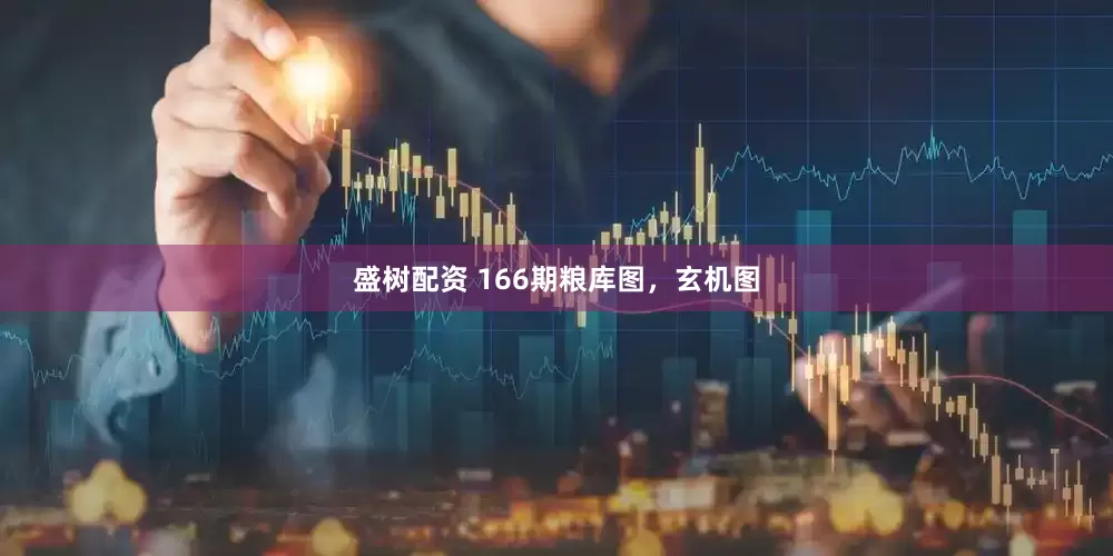 盛树配资 166期粮库图，玄机图