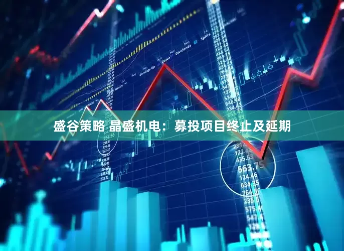 盛谷策略 晶盛机电：募投项目终止及延期