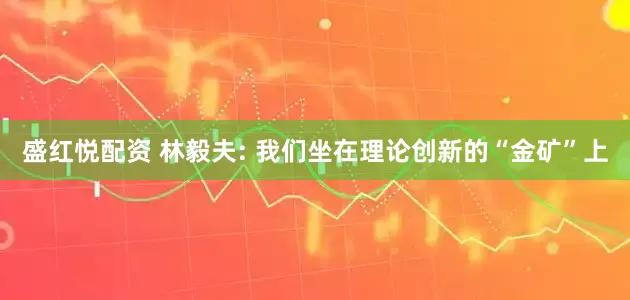 盛红悦配资 林毅夫: 我们坐在理论创新的“金矿”上