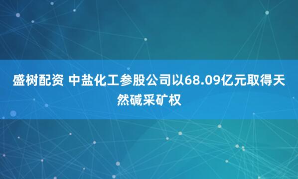 盛树配资 中盐化工参股公司以68.09亿元取得天然碱采矿权