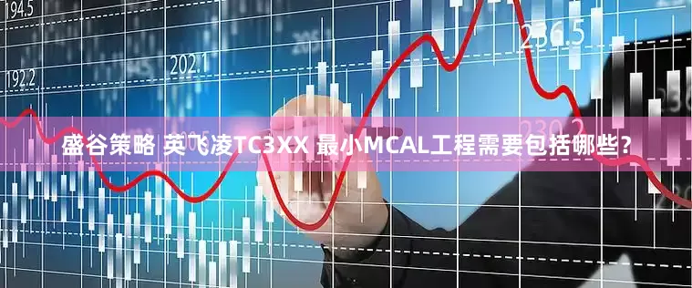 盛谷策略 英飞凌TC3XX 最小MCAL工程需要包括哪些？