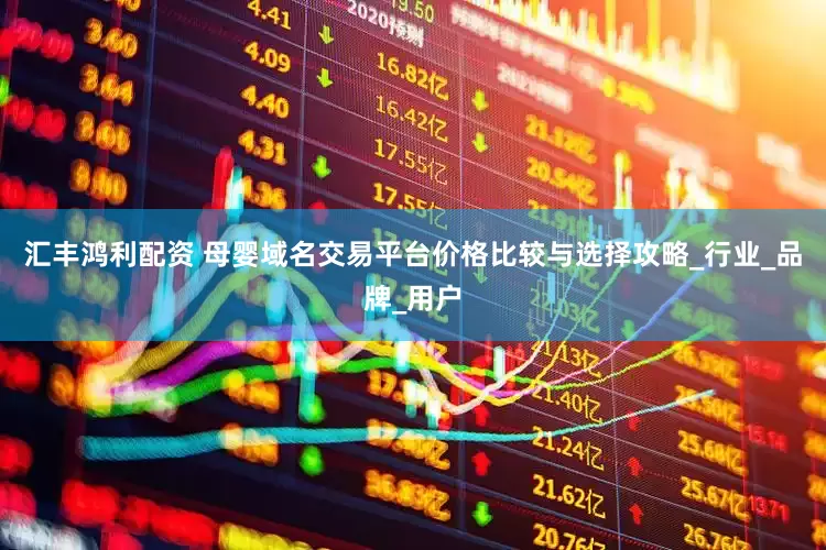 汇丰鸿利配资 母婴域名交易平台价格比较与选择攻略_行业_品牌_用户
