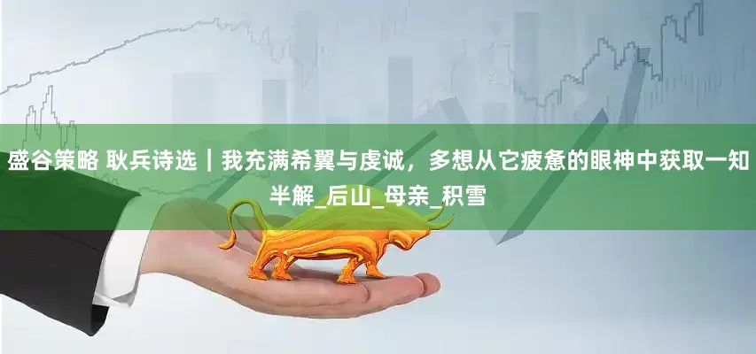 盛谷策略 耿兵诗选｜我充满希翼与虔诚，多想从它疲惫的眼神中获取一知半解_后山_母亲_积雪