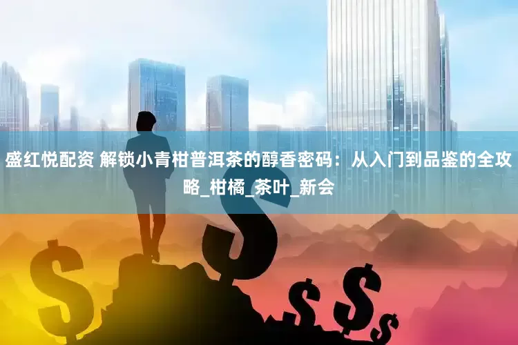 盛红悦配资 解锁小青柑普洱茶的醇香密码：从入门到品鉴的全攻略_柑橘_茶叶_新会