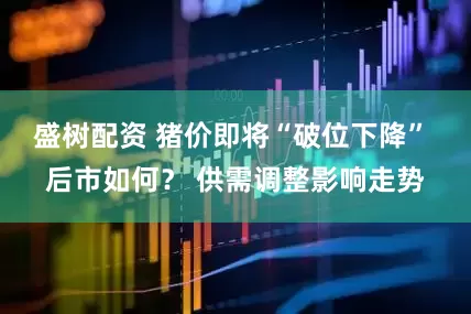 盛树配资 猪价即将“破位下降” 后市如何？ 供需调整影响走势