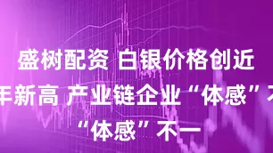 盛树配资 白银价格创近14年新高 产业链企业“体感”不一
