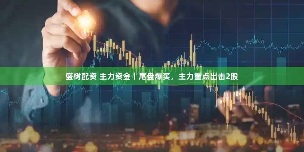 盛树配资 主力资金丨尾盘爆买，主力重点出击2股
