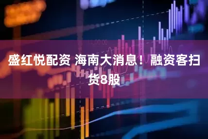 盛红悦配资 海南大消息！融资客扫货8股