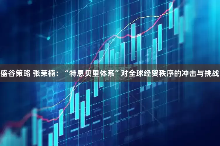 盛谷策略 张茉楠：“特恩贝里体系”对全球经贸秩序的冲击与挑战